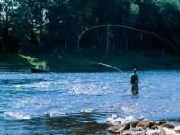 Fishing in Scotland
